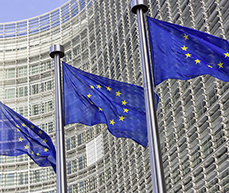 The European Fiscal Board was set up to advise the EU Commission on fiscal matters. 