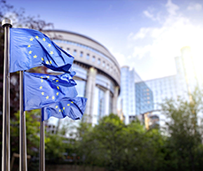 Das neugegründete Forschungsnetzwerk EconPol Europe befasst sich mit drängenden wirtschafts- und finanzpolitischen Fragen in der Europäischen Union.