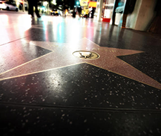 The decision to reschedule a release date tends to increase overall sales in the United States – this is, however, no guarantee for a star on the Hollywood Walk of Fame. 