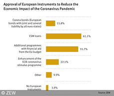 Compared to other instruments, ESM loans receive the most approval from the financial market experts surveyed. 