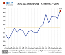 China Economic Panel in September 2020.