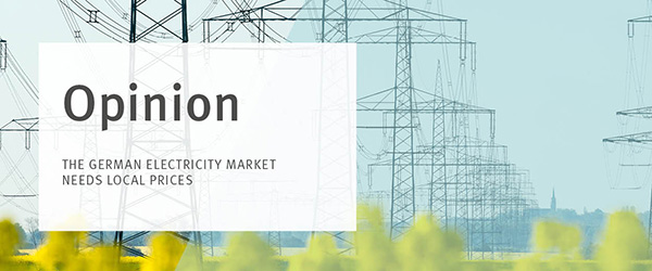 Opinion Electricity Market