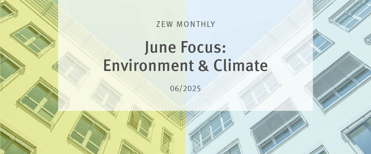 ZEW Monthly June 2025 with a focus on environment and climate