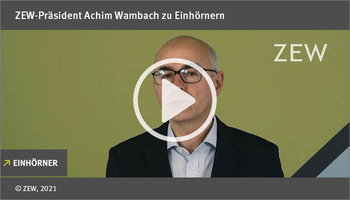 Zehn Empfehlungen für die Wirtschaftspolitik: ZEW-Präsident Achim Wambach zu Einhörnern