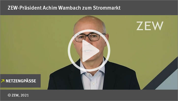 Zehn Empfehlungen für die Wirtschaftspolitik: ZEW-Präsident Achim Wambach zum Strommarkt